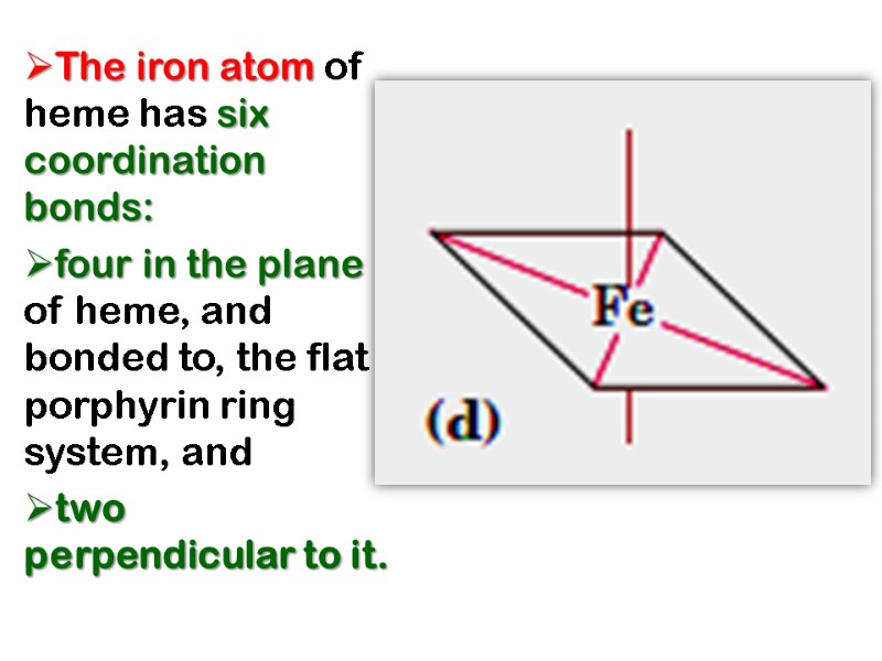 The iron atom of heme has six coordination bonds:  four in the plane